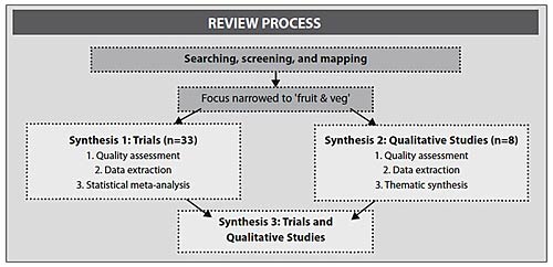 Figure 2: Sample Process for a Mixed-Methods Systematic Review